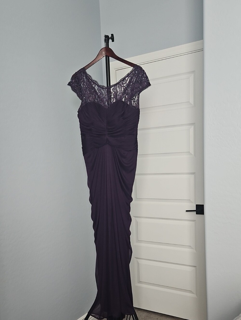 Adrianna Papell Lace Cap-Sleeve Maxi Gown in Plum
